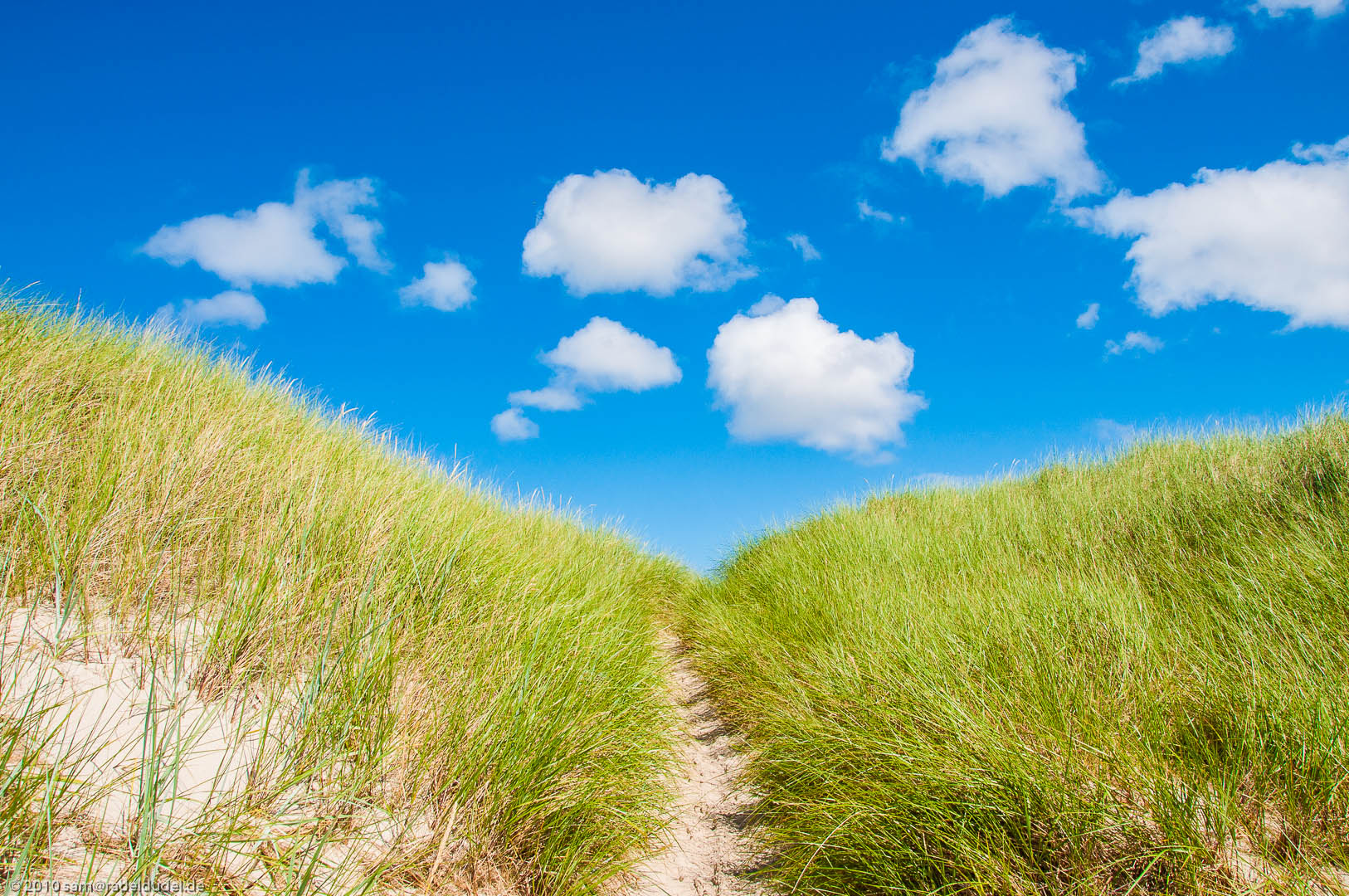 Trampelpfad durch die Dünen zum Strand.
