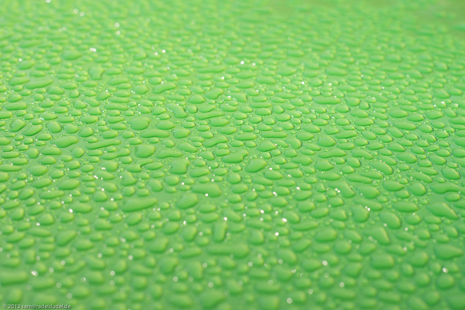Wassertropfen auf einer grünen Fläche